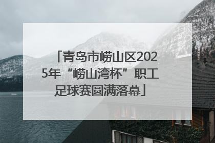 青岛市崂山区2025年“崂山湾杯”职工足球赛圆满落幕