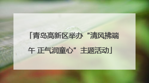 青岛高新区举办“清风拂端午 正气润童心”主题活动