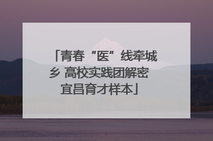 青春“医”线牵城乡 高校实践团解密宜昌育才样本