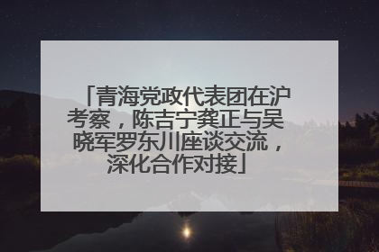 青海党政代表团在沪考察，陈吉宁龚正与吴晓军罗东川座谈交流，深化合作对接