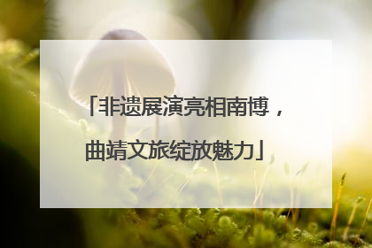 非遗展演亮相南博，曲靖文旅绽放魅力