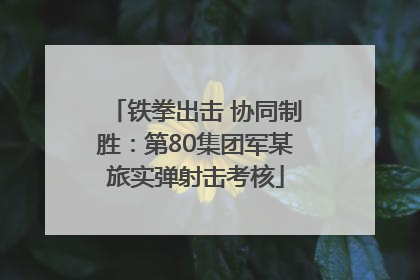 铁拳出击 协同制胜：第80集团军某旅实弹射击考核