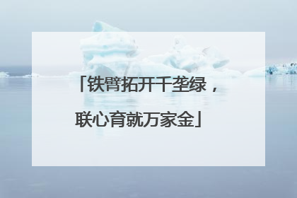 铁臂拓开千垄绿，联心育就万家金