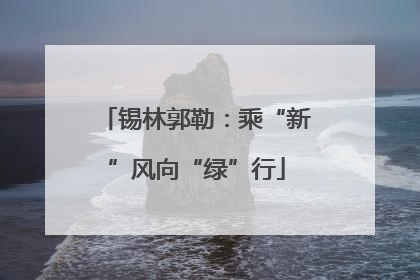 锡林郭勒：乘“新”风向“绿”行
