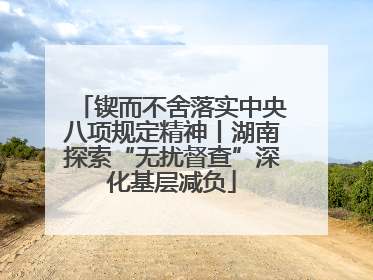 锲而不舍落实中央八项规定精神丨湖南探索“无扰督查”深化基层减负