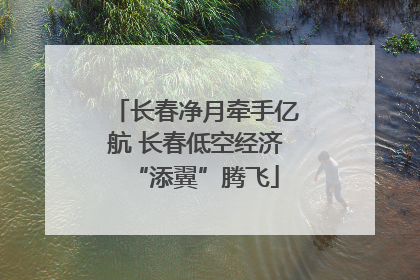 长春净月牵手亿航 长春低空经济“添翼”腾飞