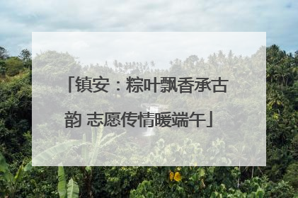 镇安：粽叶飘香承古韵 志愿传情暖端午