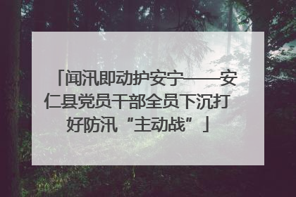 闻汛即动护安宁——安仁县党员干部全员下沉打好防汛“主动战”