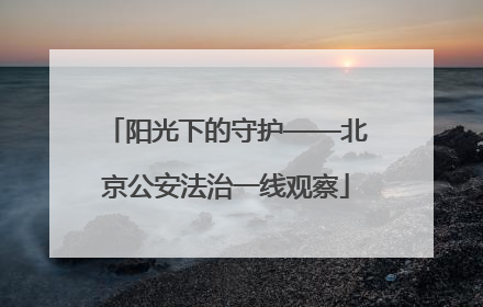 阳光下的守护——北京公安法治一线观察
