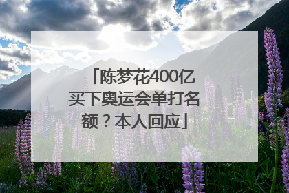 陈梦花400亿买下奥运会单打名额？本人回应