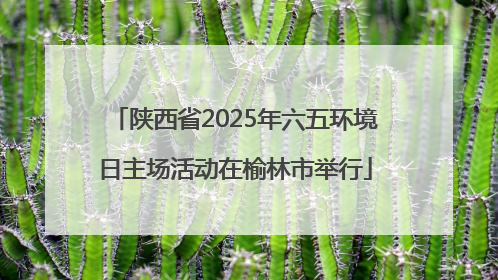 陕西省2025年六五环境日主场活动在榆林市举行