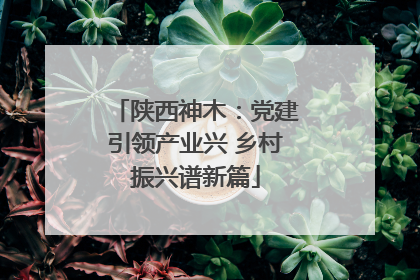 陕西神木：党建引领产业兴 乡村振兴谱新篇