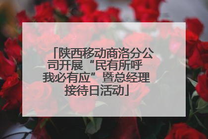 陕西移动商洛分公司开展“民有所呼 我必有应”暨总经理接待日活动