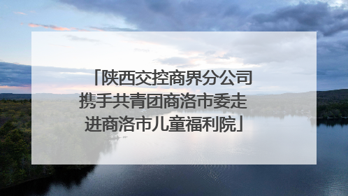 陕西交控商界分公司携手共青团商洛市委走进商洛市儿童福利院