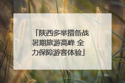 陕西多举措备战暑期旅游高峰 全力保障游客体验