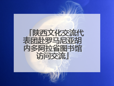 陕西文化交流代表团赴罗马尼亚胡内多阿拉省图书馆访问交流