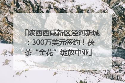陕西西咸新区泾河新城：300万美元签约！茯茶“金花”绽放中亚