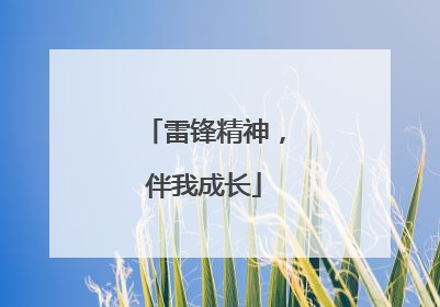 雷锋精神，伴我成长