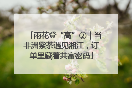 雨花登“高”②｜当非洲紫茶遇见湘江，订单里藏着共富密码