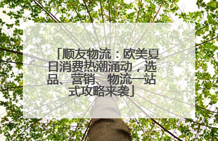 顺友物流：欧美夏日消费热潮涌动，选品、营销、物流一站式攻略来袭