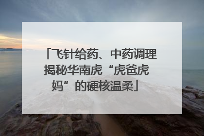 飞针给药、中药调理 揭秘华南虎“虎爸虎妈”的硬核温柔