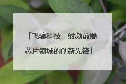 飞骧科技：射频前端芯片领域的创新先锋