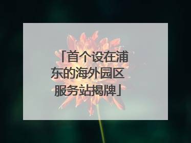 首个设在浦东的海外园区服务站揭牌