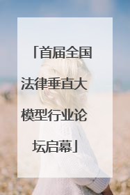首届全国法律垂直大模型行业论坛启幕