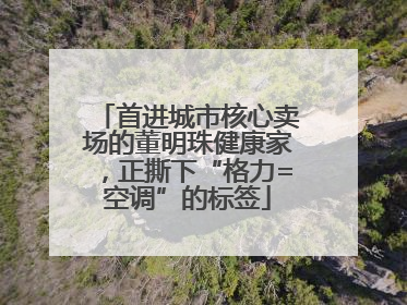 首进城市核心卖场的董明珠健康家，正撕下“格力=空调”的标签