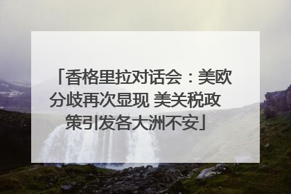 香格里拉对话会：美欧分歧再次显现 美关税政策引发各大洲不安