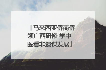 马来西亚侨商侨领广西研修 学中医看非遗谋发展