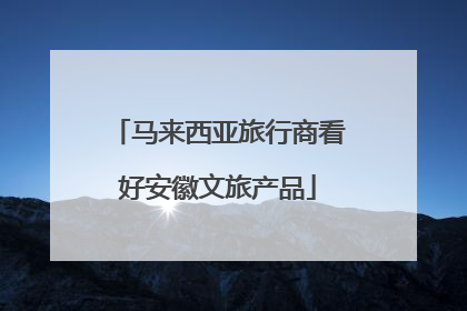 马来西亚旅行商看好安徽文旅产品