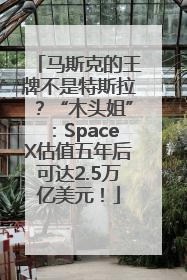 马斯克的王牌不是特斯拉？“木头姐”：SpaceX估值五年后可达2.5万亿美元！