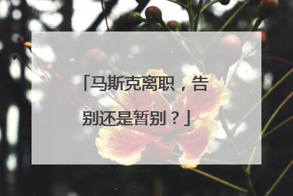 马斯克离职，告别还是暂别？