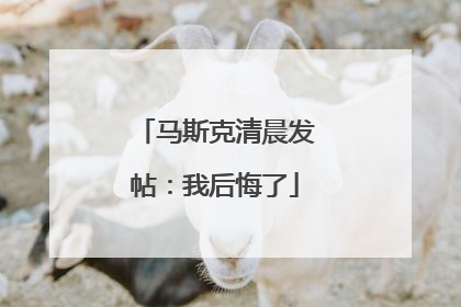 马斯克清晨发帖：我后悔了