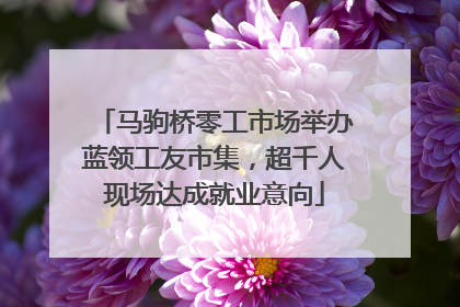 马驹桥零工市场举办蓝领工友市集，超千人现场达成就业意向