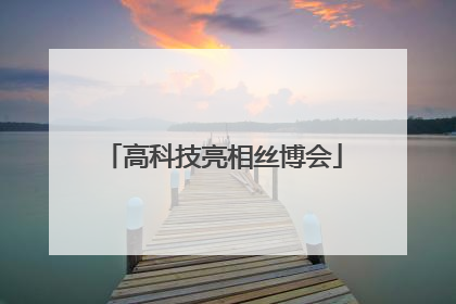 高科技亮相丝博会