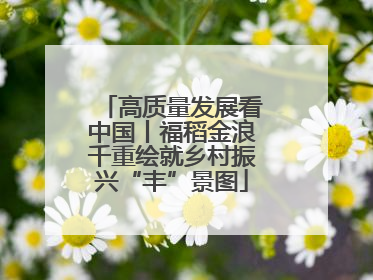 高质量发展看中国丨福稻金浪千重绘就乡村振兴“丰”景图