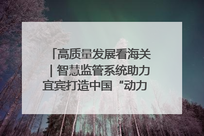 高质量发展看海关｜智慧监管系统助力宜宾打造中国“动力电池之都”
