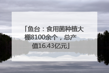 鱼台：食用菌种植大棚8100余个，总产值16.43亿元