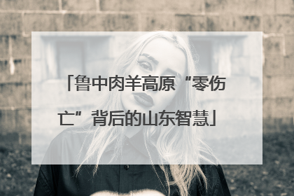 鲁中肉羊高原“零伤亡”背后的山东智慧
