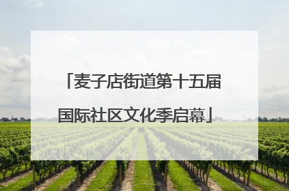 麦子店街道第十五届国际社区文化季启幕