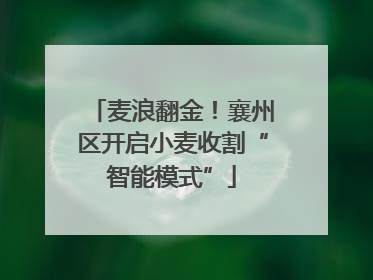 麦浪翻金！襄州区开启小麦收割“智能模式”