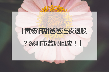 黄杨钿甜爸爸连夜退股？深圳市监局回应！