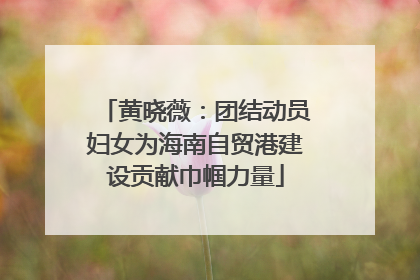 黄晓薇：团结动员妇女为海南自贸港建设贡献巾帼力量