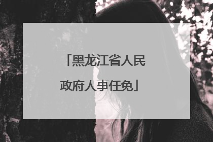 黑龙江省人民政府人事任免