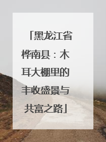 黑龙江省桦南县：木耳大棚里的丰收盛景与共富之路