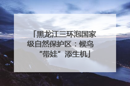 黑龙江三环泡国家级自然保护区：候鸟“带娃”添生机