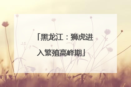 黑龙江：狮虎进入繁殖高峰期