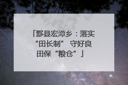 黟县宏潭乡：落实“田长制” 守好良田保“粮仓”